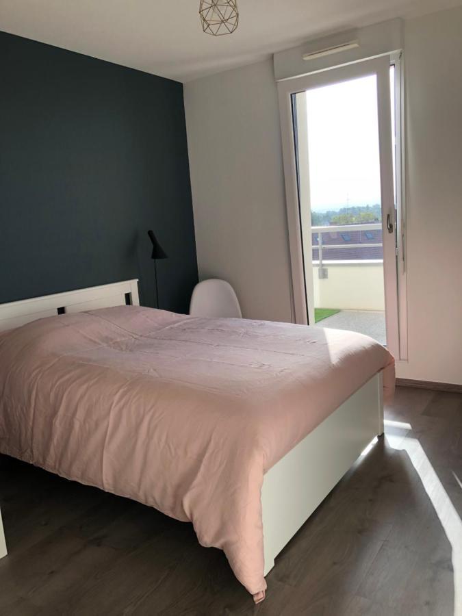 La Terrasse Apartment Strasbourg Exterior photo